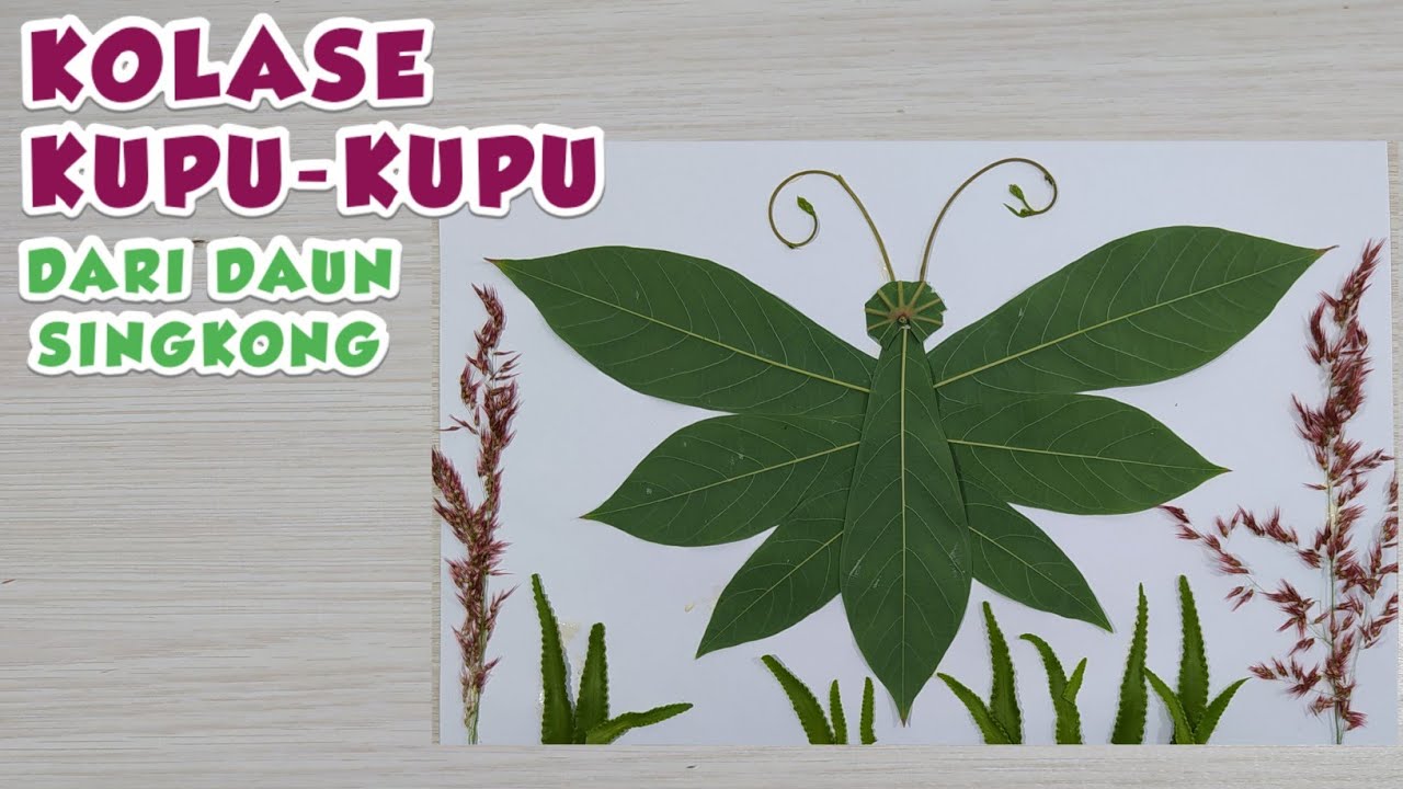 Cara Membuat Kolase Kupu-kupu dari daun Singkong