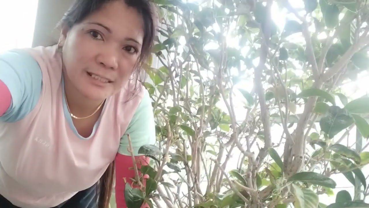 MAGLINIS NG TERRACE AT HALAMAN #ofwlife #viral 