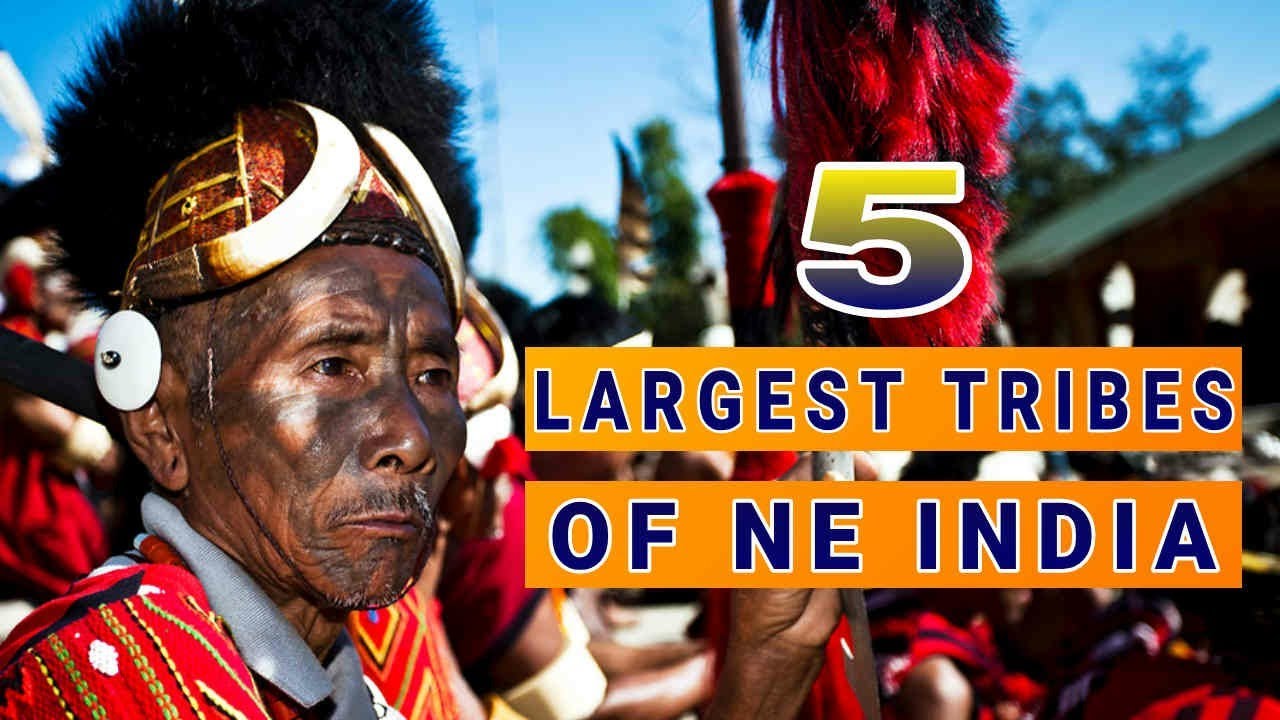 TOP 𝟻 𝙻𝙰𝚁𝙶𝙴𝚂𝚃 𝚃𝚁𝙸𝙱𝙴𝚂 𝚘𝚏 𝙽𝙴 𝙸𝙽𝙳𝙸𝙰