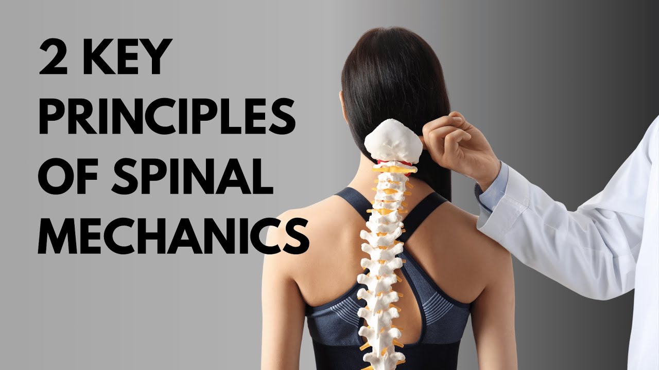 2 Key Principles of Spinal Mechanics