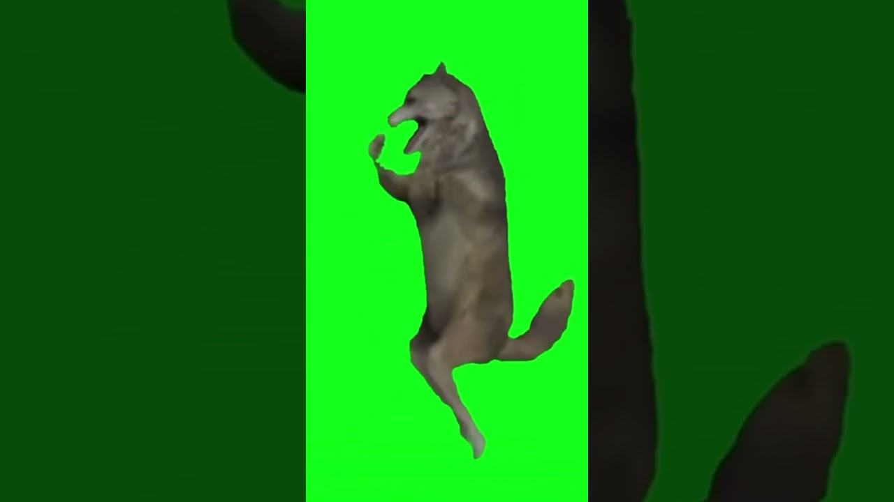 Wolf dancer, impossible is nothing