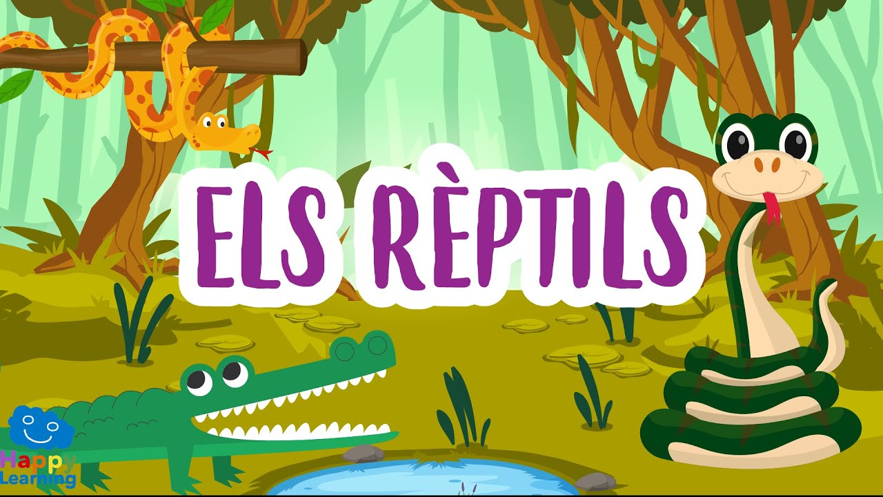 Els rèptils | Vídeos educatius per a nens en llengua catalana