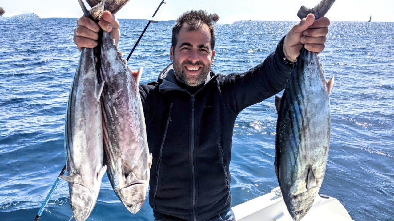 PELAMIDE, GROS BOUILLONS: p&ecirc;che en mer aux leurres sur chasse