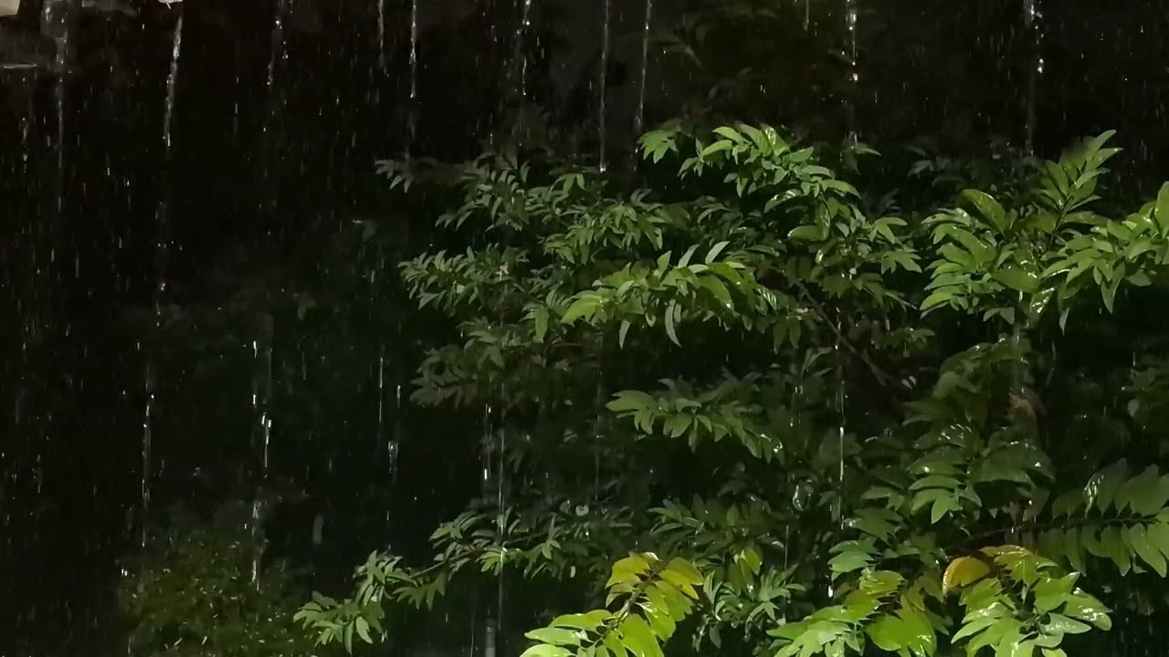 Heavy Rain on Window: Relaxing Rain Sound for Deep Sleep, Study, Focus & Relieving Depression