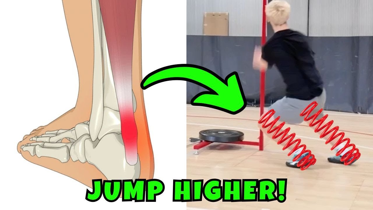 How to Turn Your Tendons Into SPRINGS | Takeaway Tuesday Ep. 2