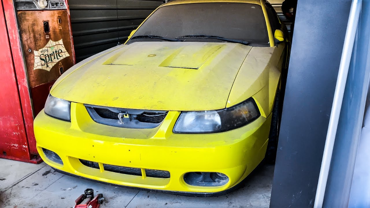 Buying a BARNFIND 03 Terminator Cobra Mustang! Abandoned Time Capsule | Part 1