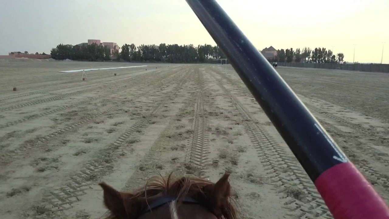 نوماس التقاط الأهداف تصوير حي