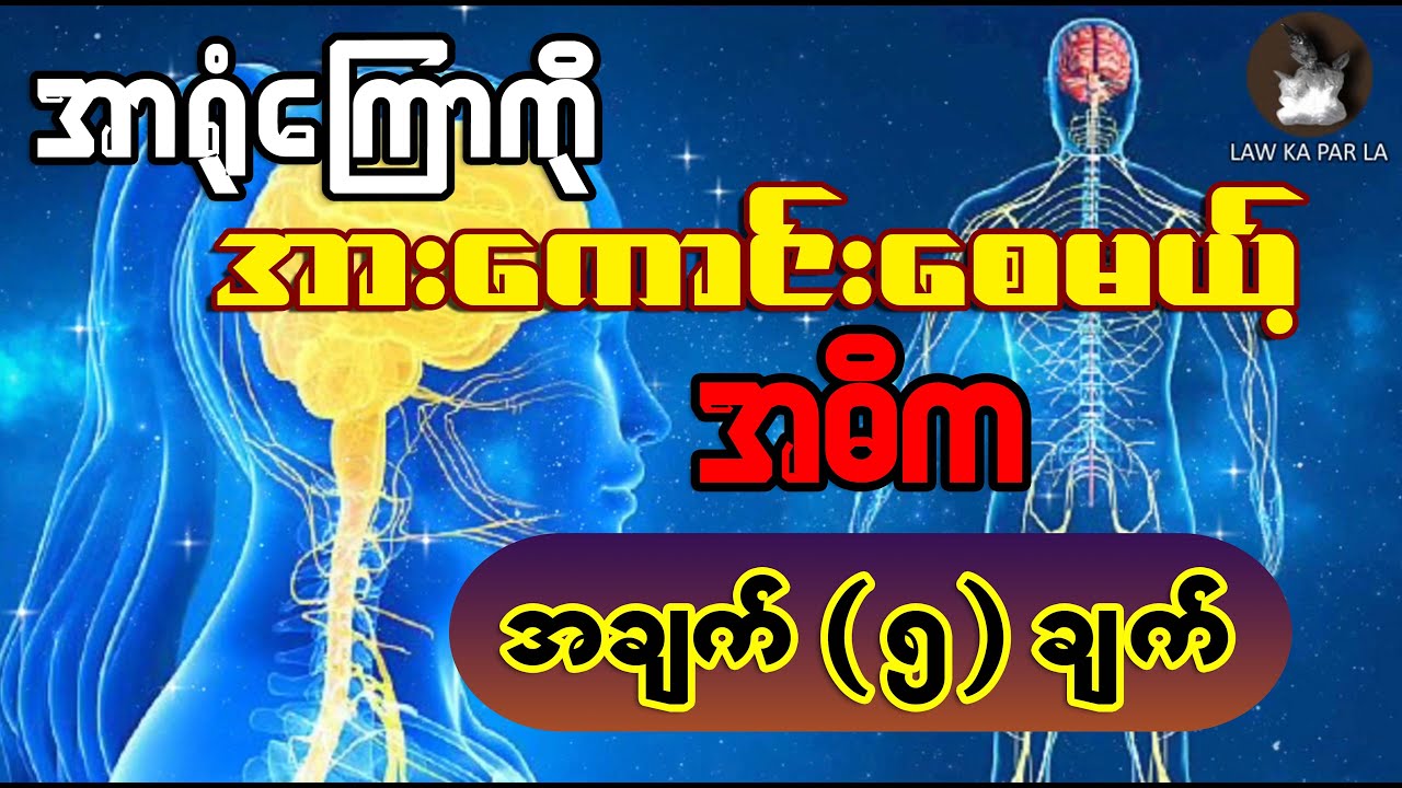 အာရုံစူးစိုက်လုပ်ကိုင်ရသူတိုင်း လေ့လာသိရှိထားသင့်တဲ့ အာရုံကြောကို အားကောင်းစေမယ့် အဓိက အချက်(၅) ချက်