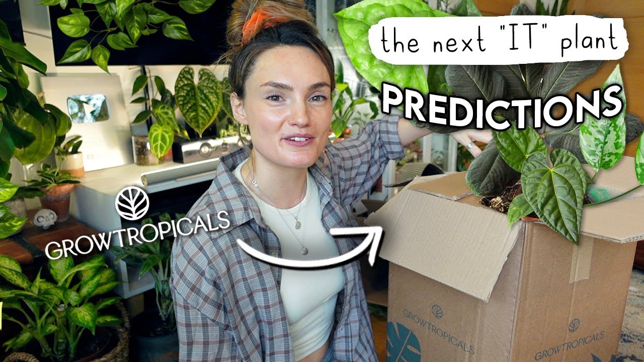 Unboxing The Next 