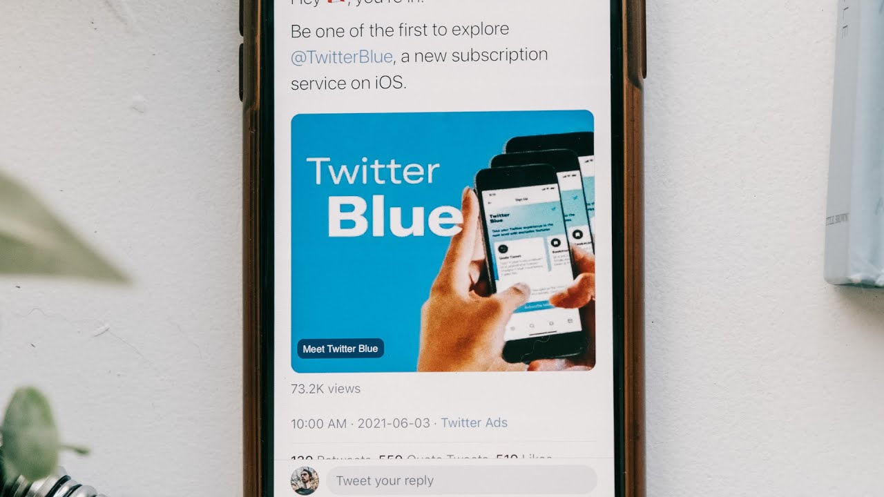 Twitter Blue Review in 2 Minutes