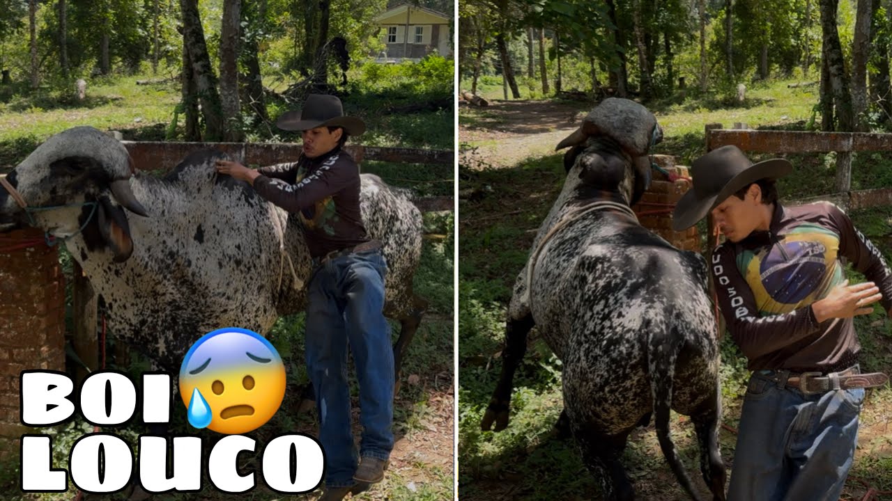 MONTEI NO BOI LOUCO DO @XucrãoInterior DEU RUIM!?😰