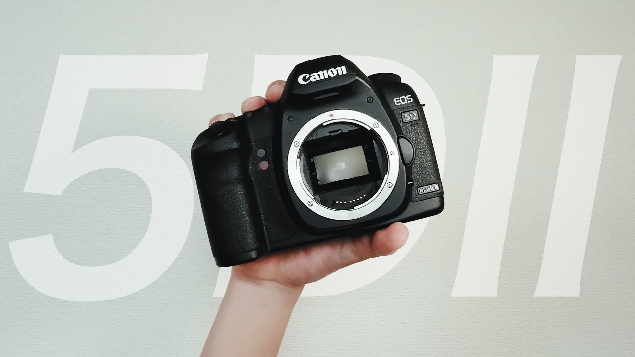 奇跡のフルサイズ！Canon 5DMarkII 徹底解説！8つの良い点、7つの悪い点。
