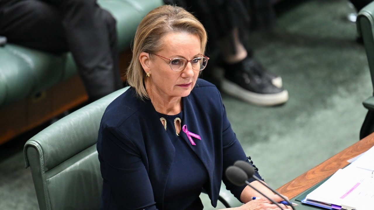 Sussan Ley sees mass exodus from frontbench as Liberal leadership battle looms