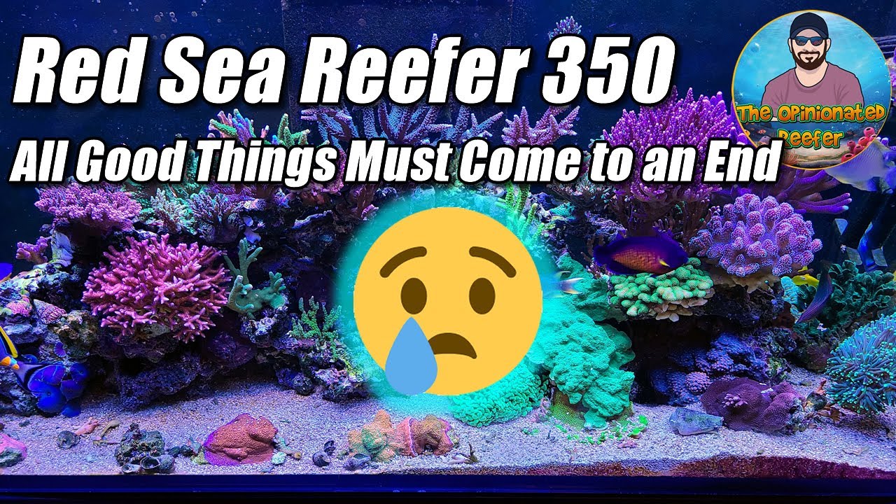 Red Sea Reefer 350 - All good things must come to an end