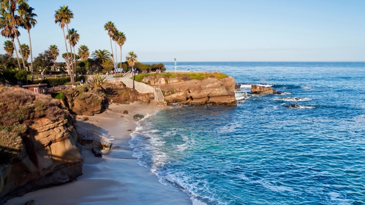 Servicio Regional – Área de San Diego (14 de febrero de 2026) (por la tarde)