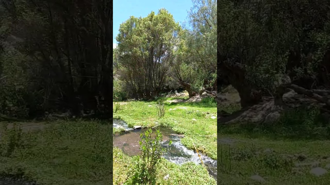 26 de febrero de 2026