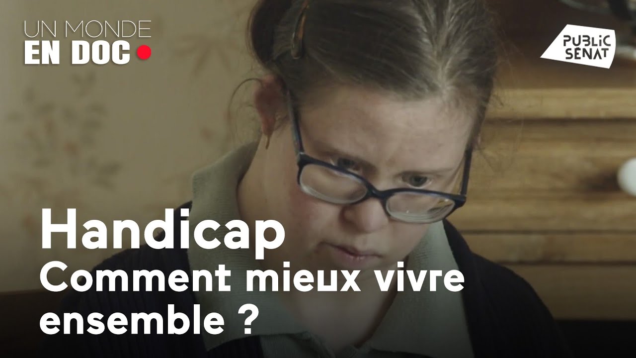 Handicap : comment mieux vivre ensemble ? - Un monde en doc