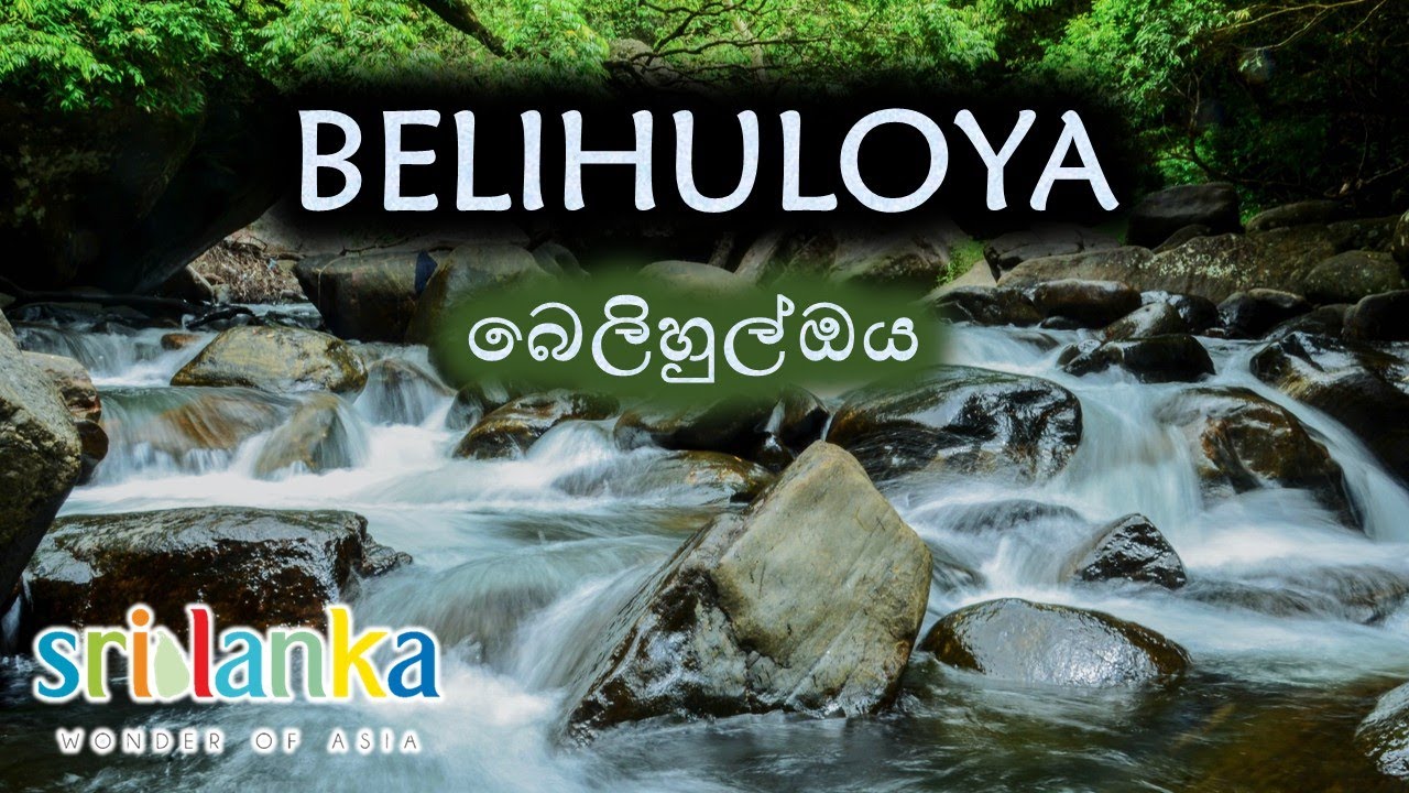 Discover Belihuloya | Sri Lanka’s Hidden Nature Paradise 🌿🇱🇰 | nonperial බෙලිහුල්ඔය | නන්පෙරියල්