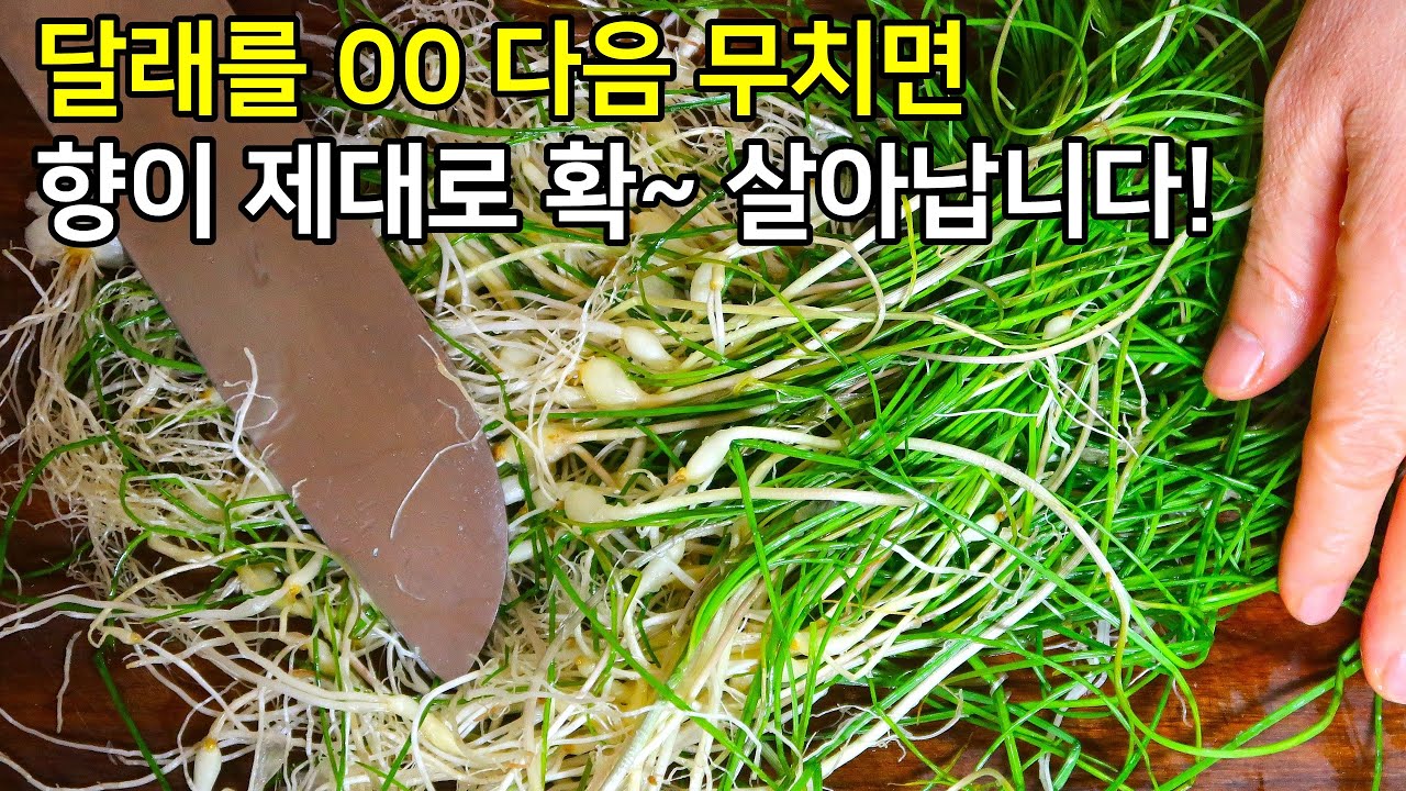 달래 그냥 하지 말고 이 과정을 거쳐주세요! 향이 제대로 확 살아납니다 / 달래장 만들기 달래간장 달래양념장 레시피