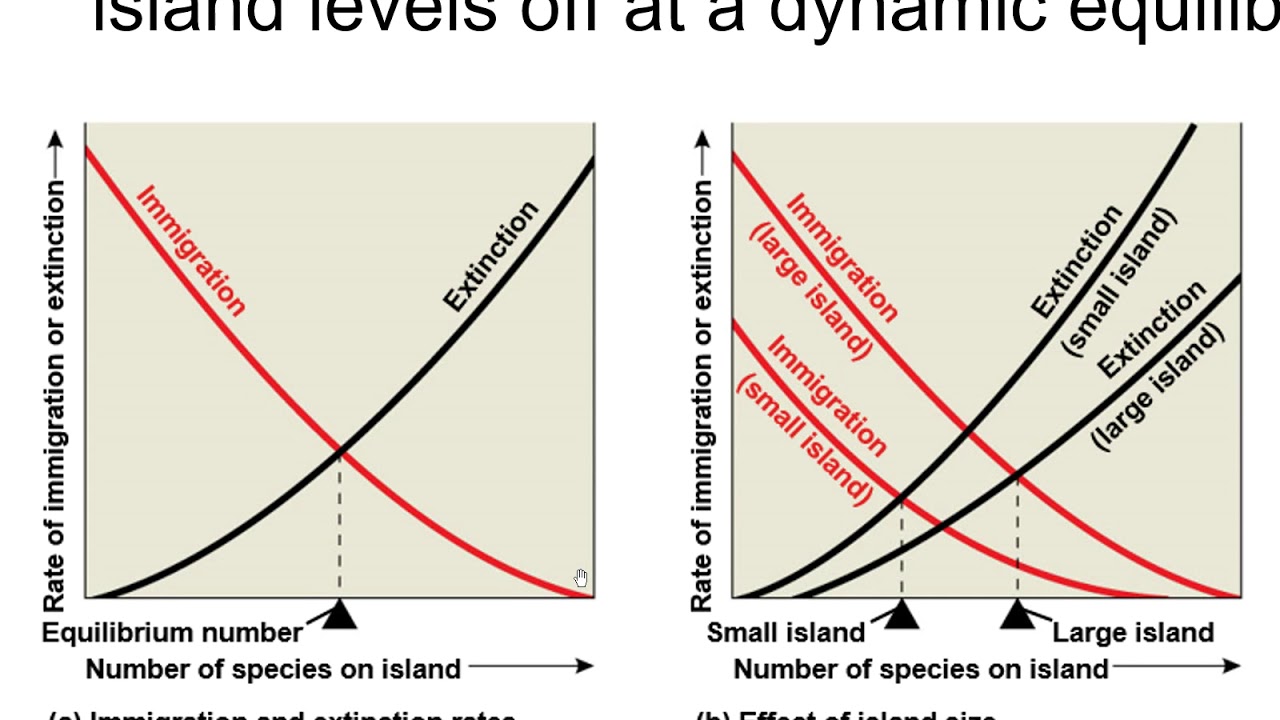 Species Diversity and Islands AP Biology 54.4