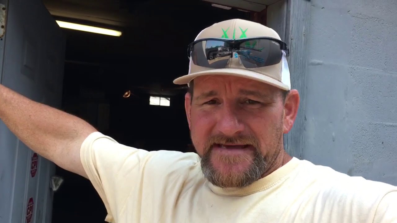 How to kill weeds in tall fescue turf grass - turf renovation round 3