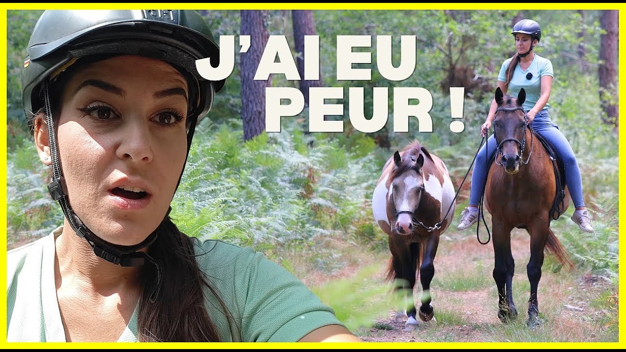 ON CROISE DES CHEVAUX EN BALADE POUR NOTRE PREMIER DEXTRE ! - Pas tr&egrave;s rassur&eacute;e...