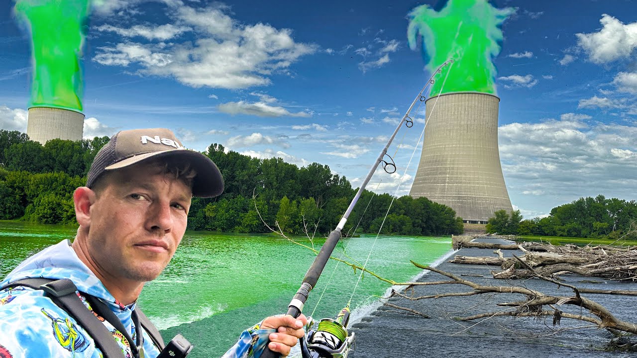 WELKE MONSTERVISSEN ZWEMMEN ONDER EEN KERNCENTRALE?🤔