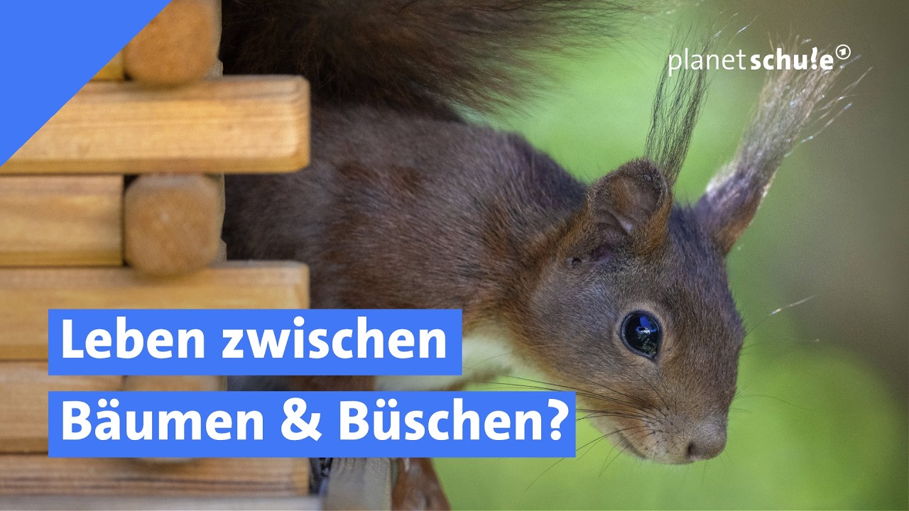 Leben im Garten - zu allen Jahreszeiten | Planet Schule