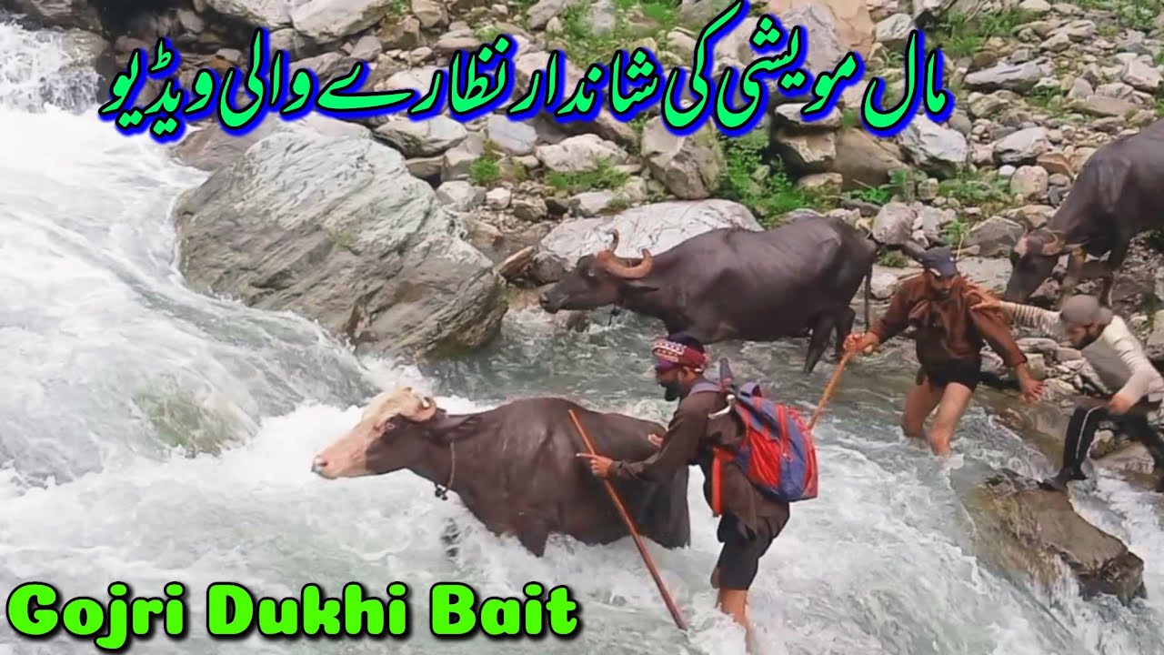 New gojri song awaz aijaz bhat 2023//gojri superhit song//gojri geet pahari song 2023/new dukhi geet