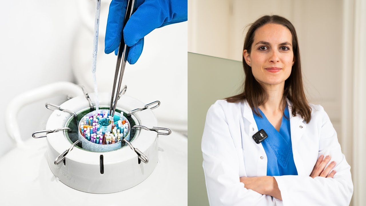 Eizellen einfrieren🥚❄️ Ablauf und rechtliche Grundlagen | Dr. Röthlisberger Wunschkind Klinik Wien