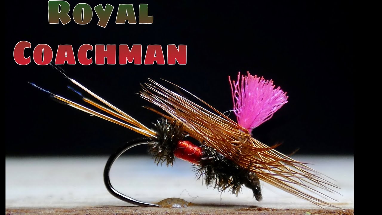 Fly tying ROYAL COACHMAN PARACHUTE by Jorge G