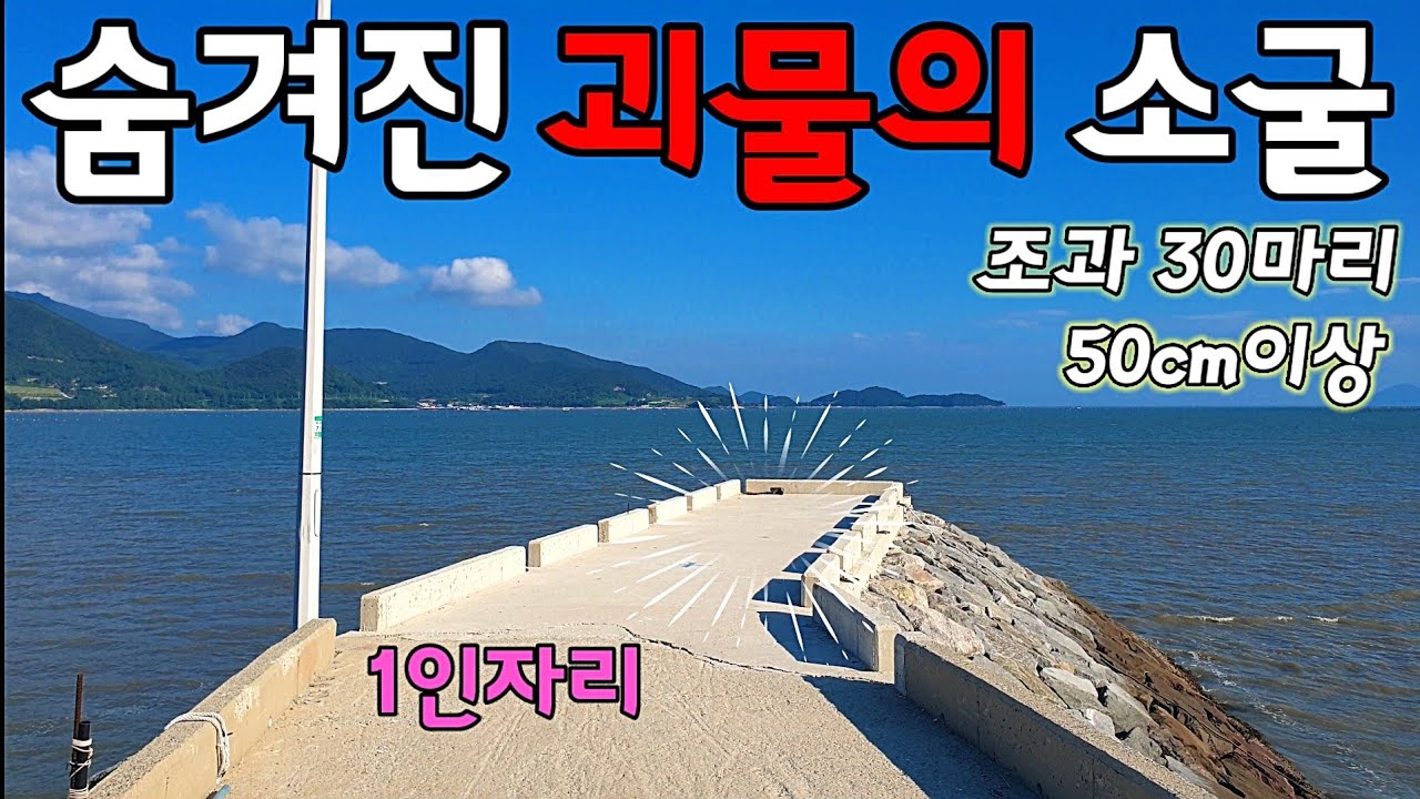 ※고기잡다 지치는 곳/최고급, 대물, 마릿수 모든게 완벽한 도보 방파제/역대급 술안주로 먹어보자