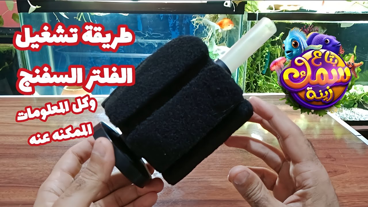 Как эксплуатировать губчатый фильтр и вся возможная информация о нем