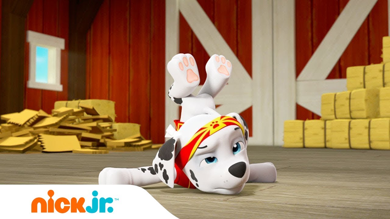 Pup Fu 🐶 en Kat Jitsu 🐱 | PAW Patrol | Nick Jr. Nederlands