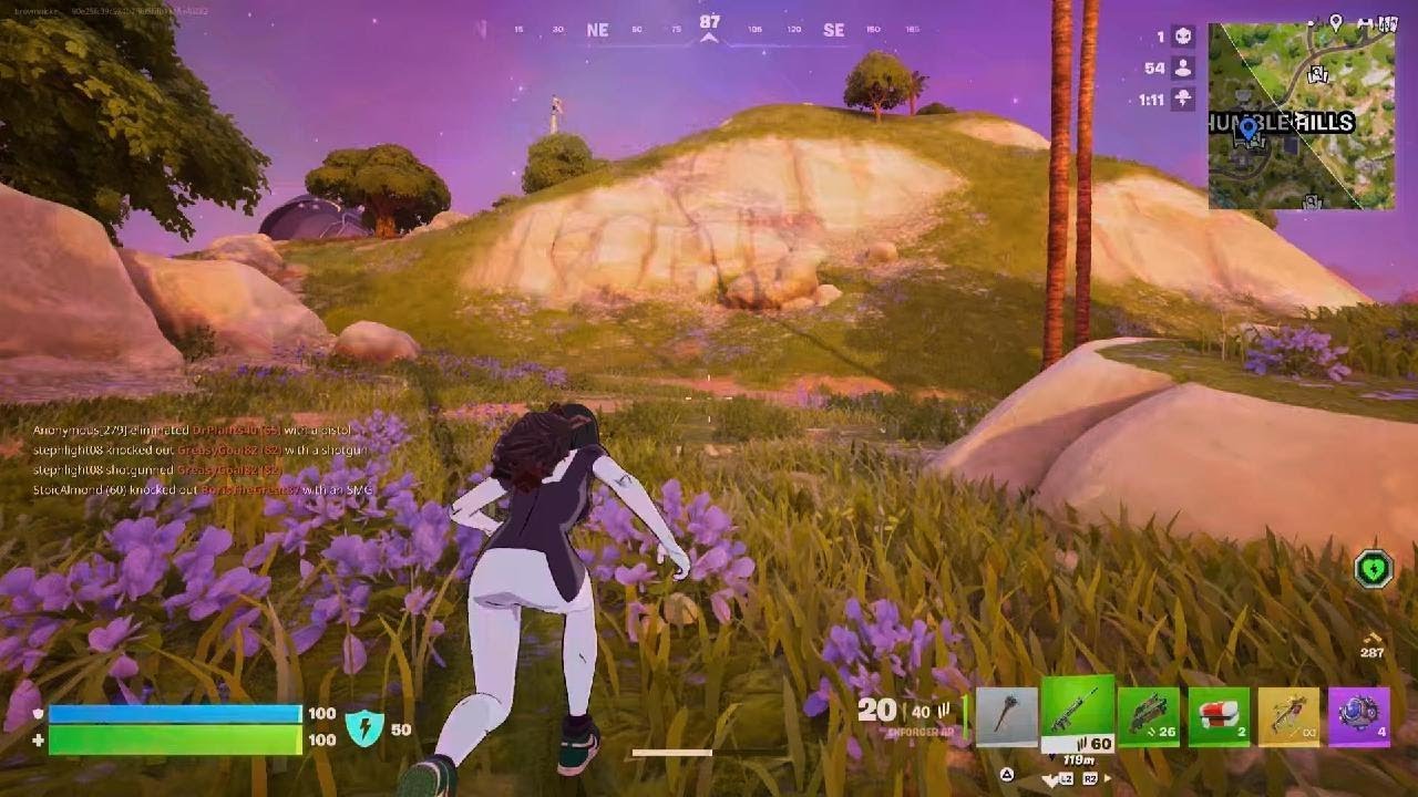 Fortnite win Today