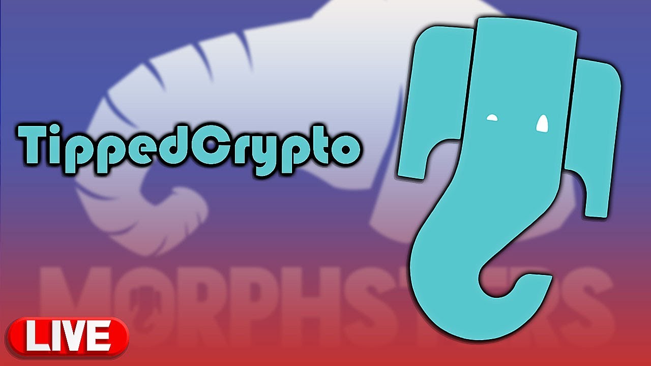 [🔴LIVE] Interview With Eduardo - Tipped Crypto