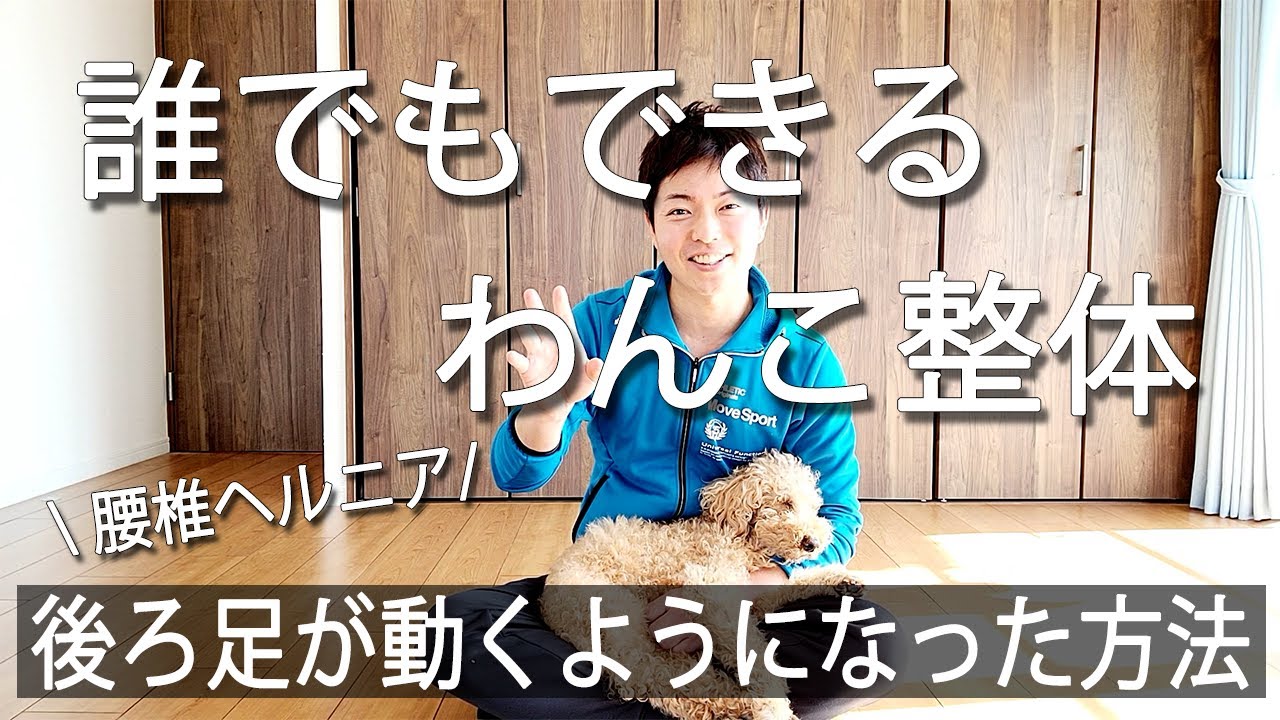 【わんこ整体】犬の腰椎ヘルニア 誰でもできる実際に後ろ足が動くようになった方法（体に負担をかけない超ソフト整体）