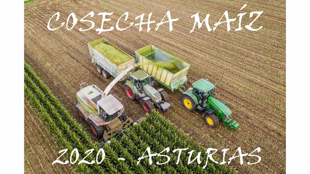 🌽🌽COSECHA DEL MAIZ 2020🌽🌽 - ✈📹 DJI MAVIC 2 PRO