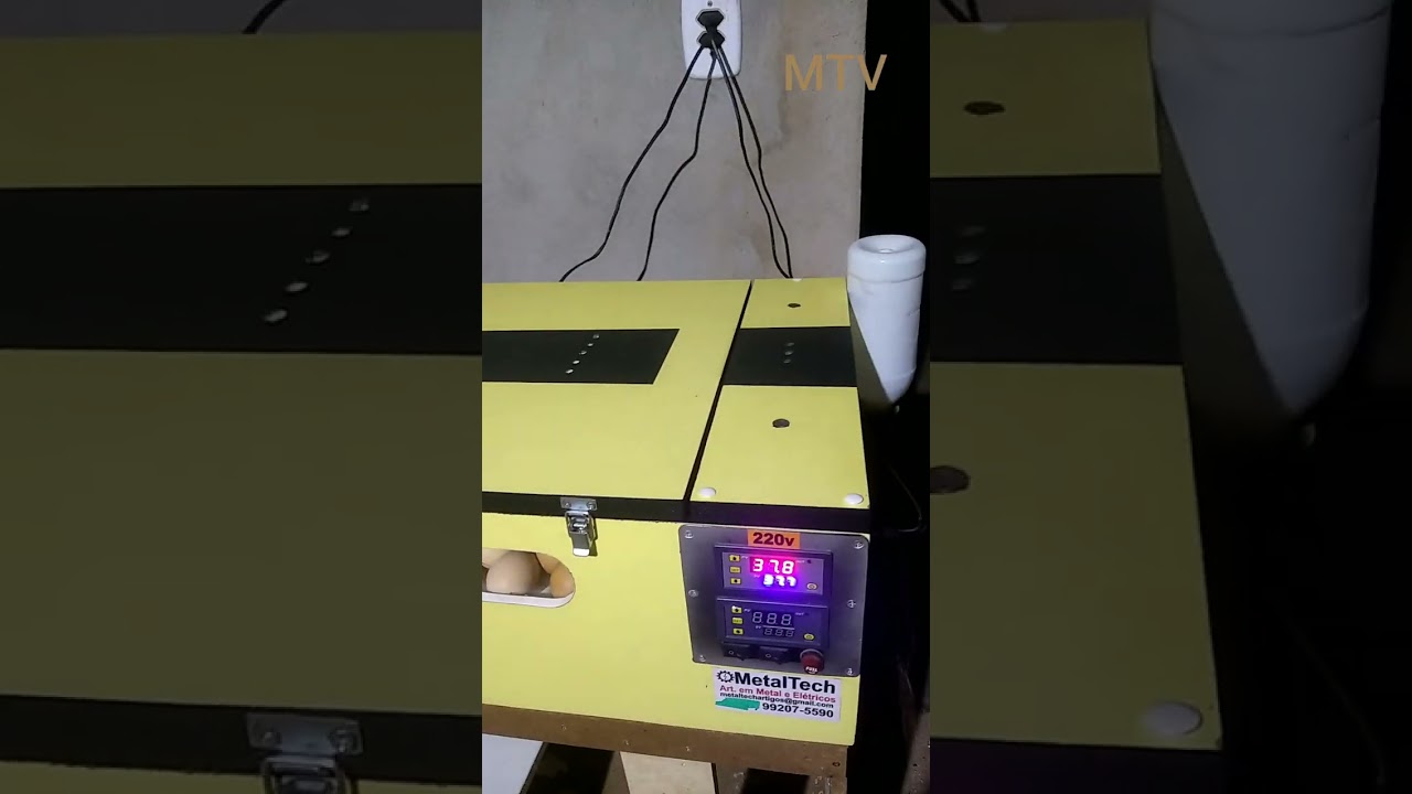 186-Humidade interna na chocadeira!
