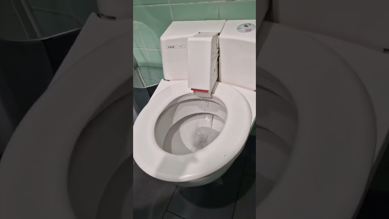 como es un ba&ntilde;o publico en Alemania #alemana