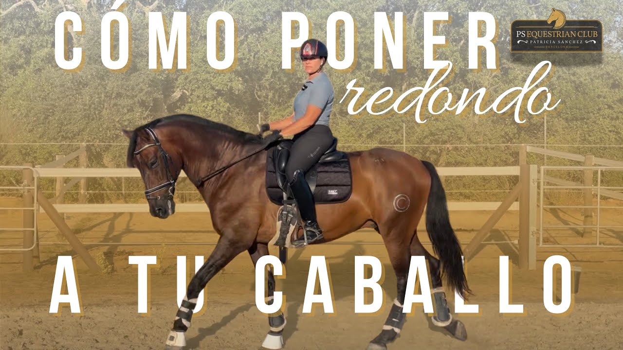 ¿Sabes cómo poner REDONDO a tu caballo?