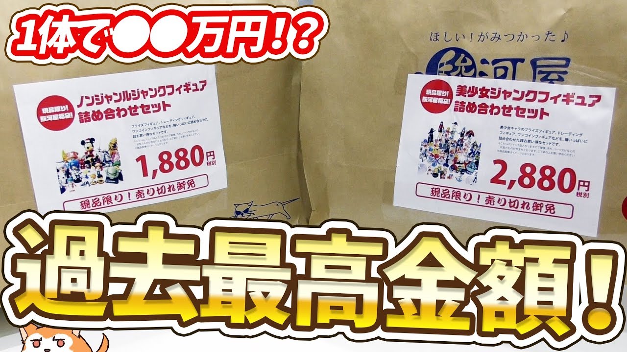 福袋開けたら過去最高金額のフィギュアが入ってたのに残念な理由