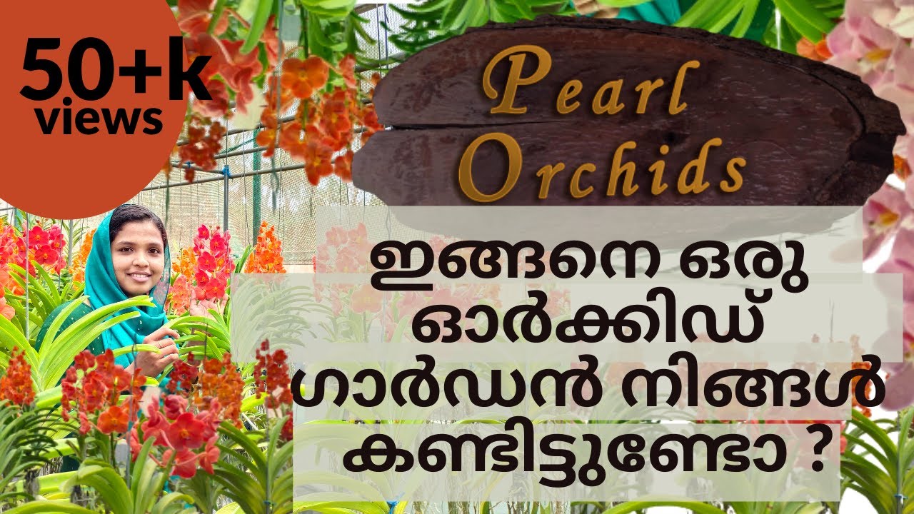 ഓർക്കിഡ് ഫാം Kerala | The Most Beautiful Orchids In The World | Orchids Malayalam
