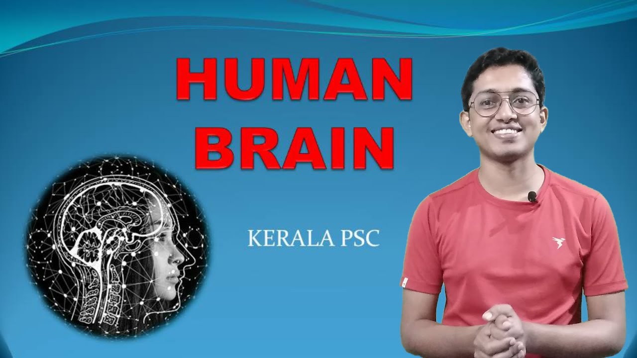 brain kerala psc| brain psc class in malayalam| brain psc questions | human brain psc malayalam