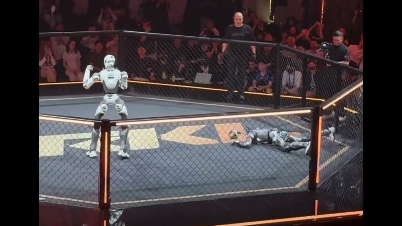 Robot Combat Is Here! The ENGINEAI T800 Takes a Devastating Knockout Kick!