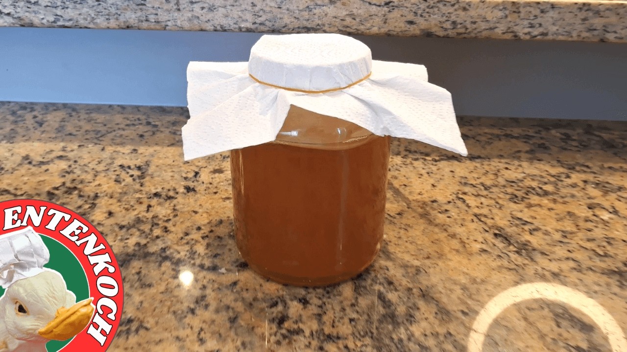 Kombucha Tee-Pilz (SCOBY) selber züchten