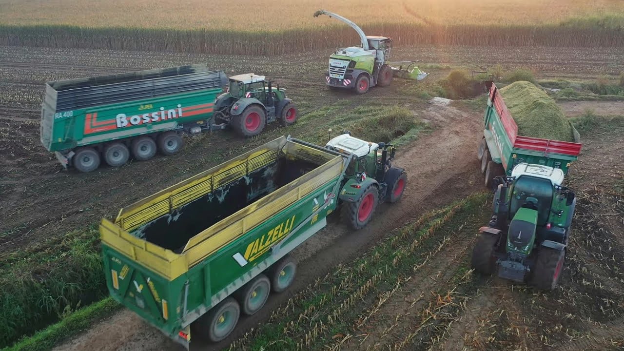 CORN SILAGE | Claas Jaguar 980 - x6 FENDT | Trinciato Mais 2022 / GRUPPO PEA