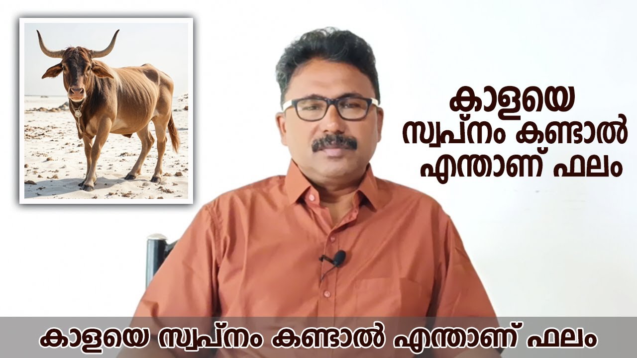 കാളയെ സ്വപ്നം കണ്ടാൽ എന്താണ് ഫലം..??