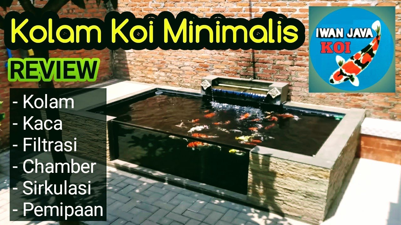 Kolam Koi Minimalis