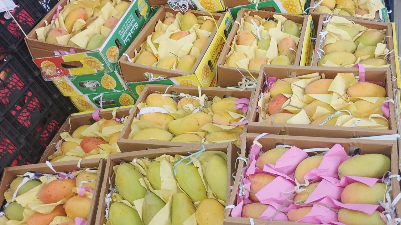 Saudi Arabia Fruit 🍓 Market Riyadh। सऊदी अरब में दुनिया के सभी प्रकार के फल #सऊदी #saudiarbia